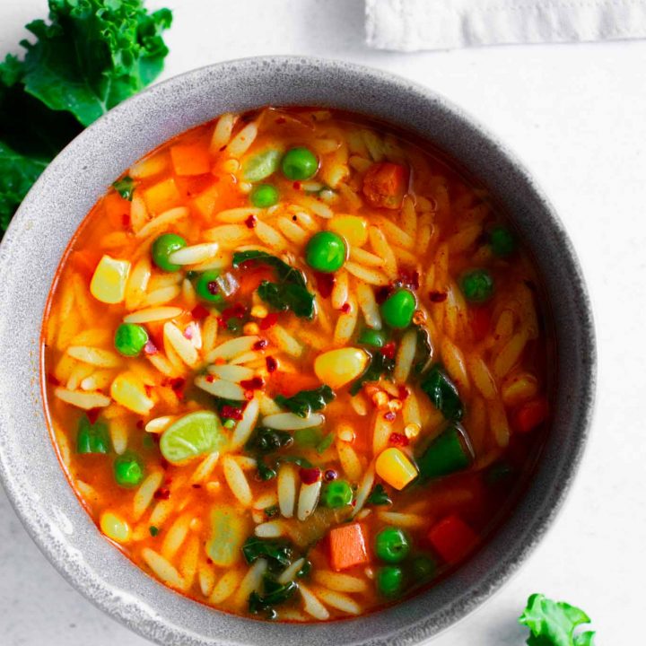 spicy vegetable orzo pasta soup.