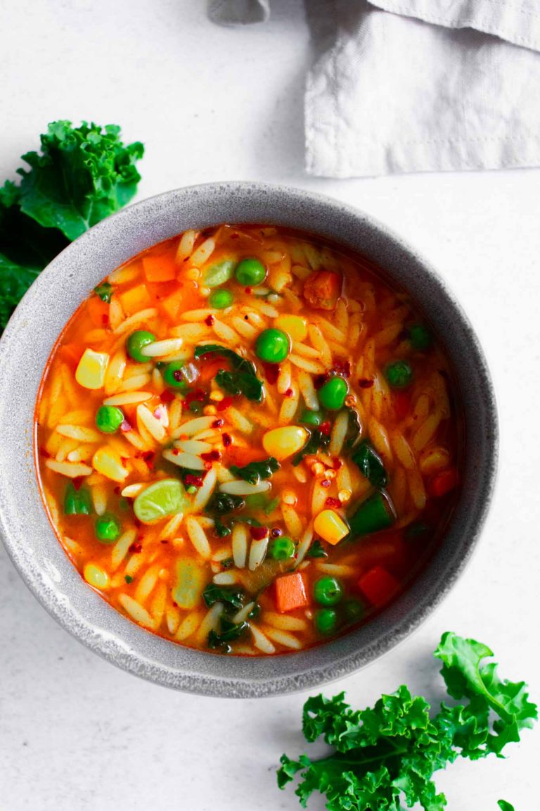 spicy vegetable orzo pasta soup.