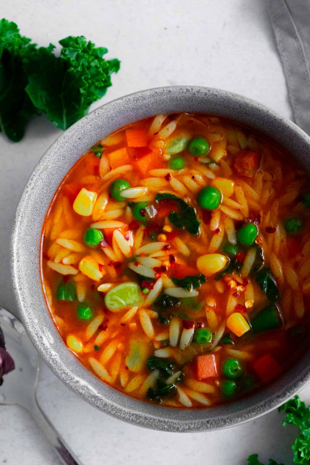 OnePot Vegetable Orzo Pasta Soup