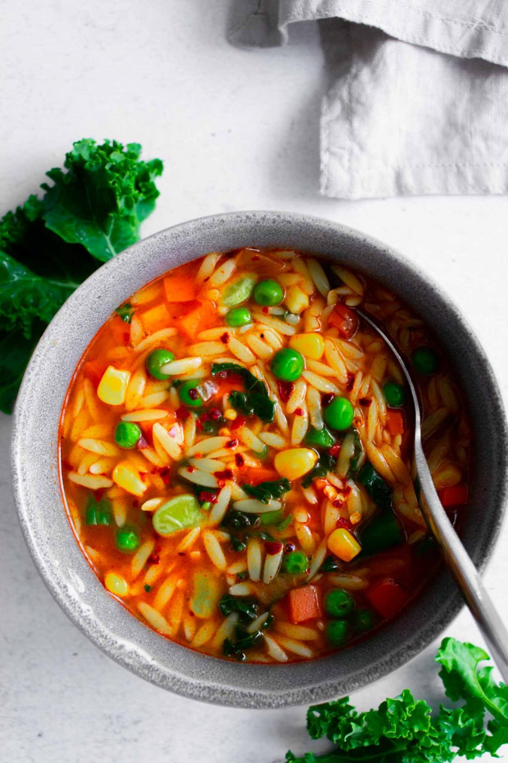 OnePot Vegetable Orzo Pasta Soup